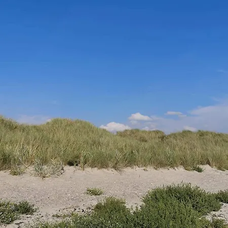 12 Person In Rodby-by Traum *